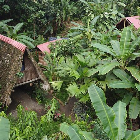 La Aldea Del Primitivo Hotel Nuqui Ngoại thất bức ảnh