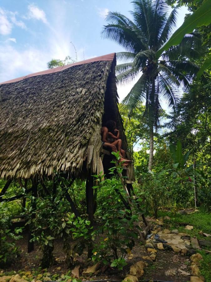 La Aldea Del Primitivo Hotel Nuqui Ngoại thất bức ảnh