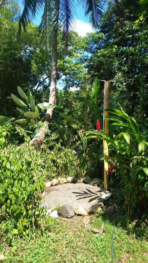 La Aldea Del Primitivo Hotel Nuqui Ngoại thất bức ảnh