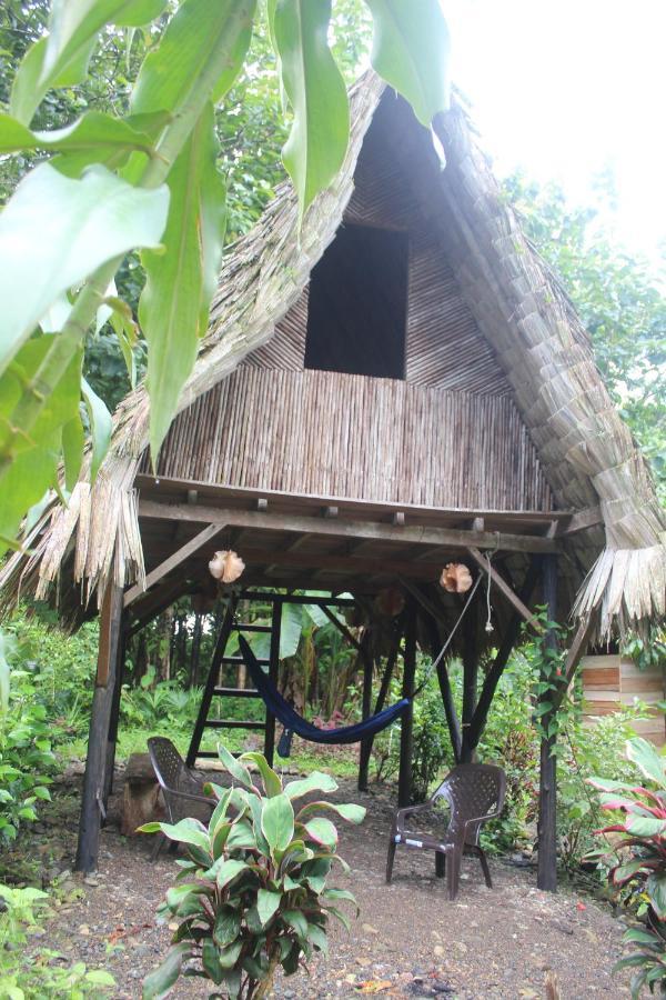 La Aldea Del Primitivo Hotel Nuqui Ngoại thất bức ảnh