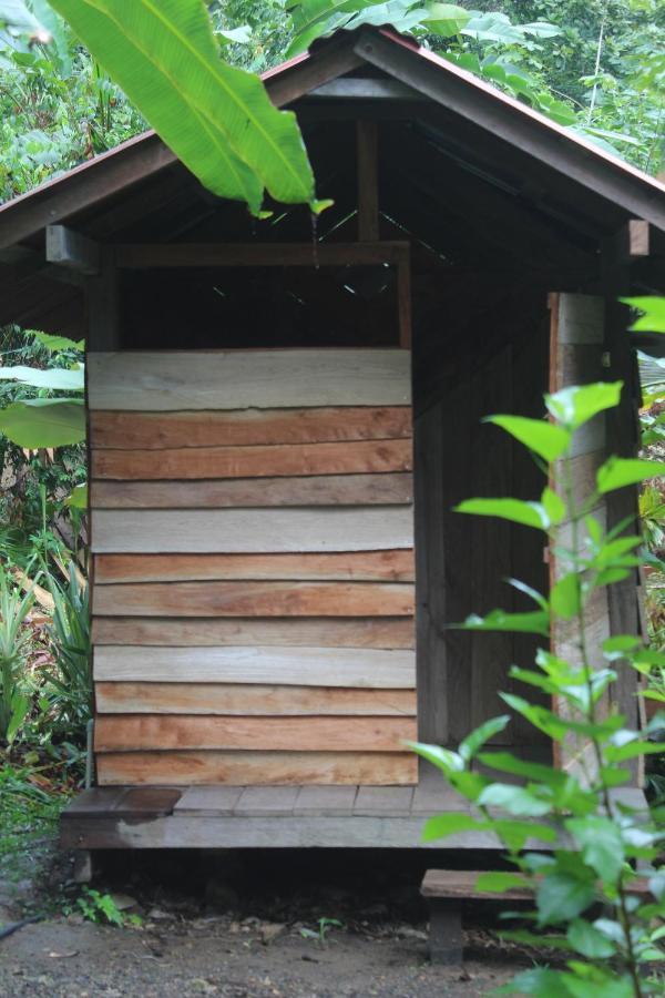 La Aldea Del Primitivo Hotel Nuqui Ngoại thất bức ảnh