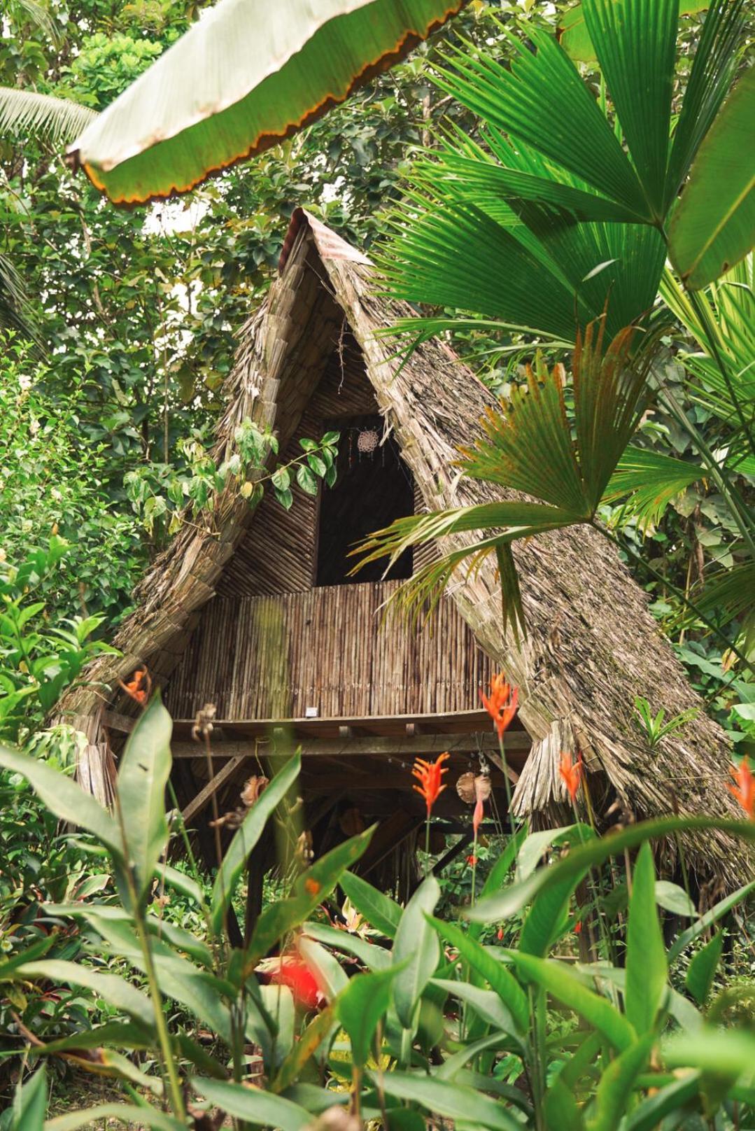 La Aldea Del Primitivo Hotel Nuqui Ngoại thất bức ảnh