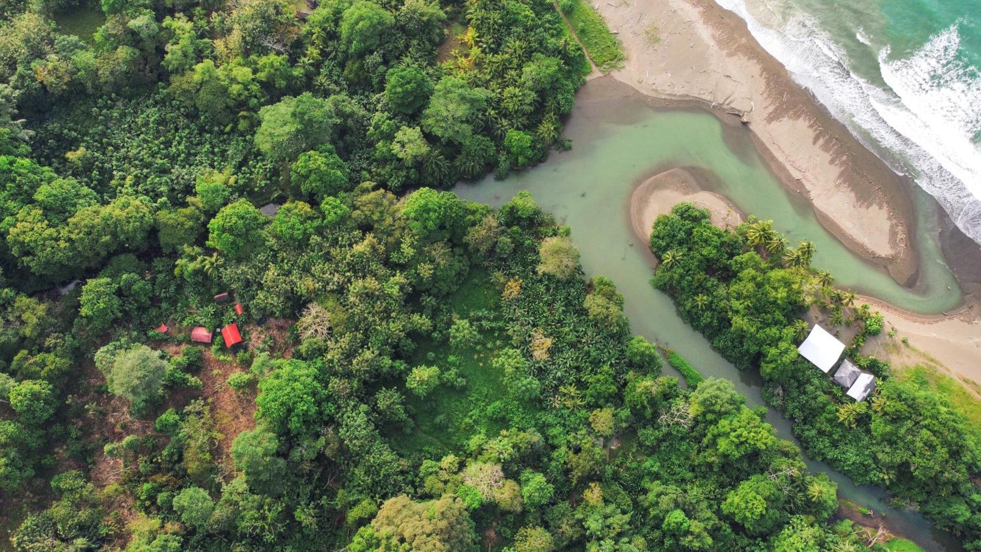 La Aldea Del Primitivo Hotel Nuqui Ngoại thất bức ảnh