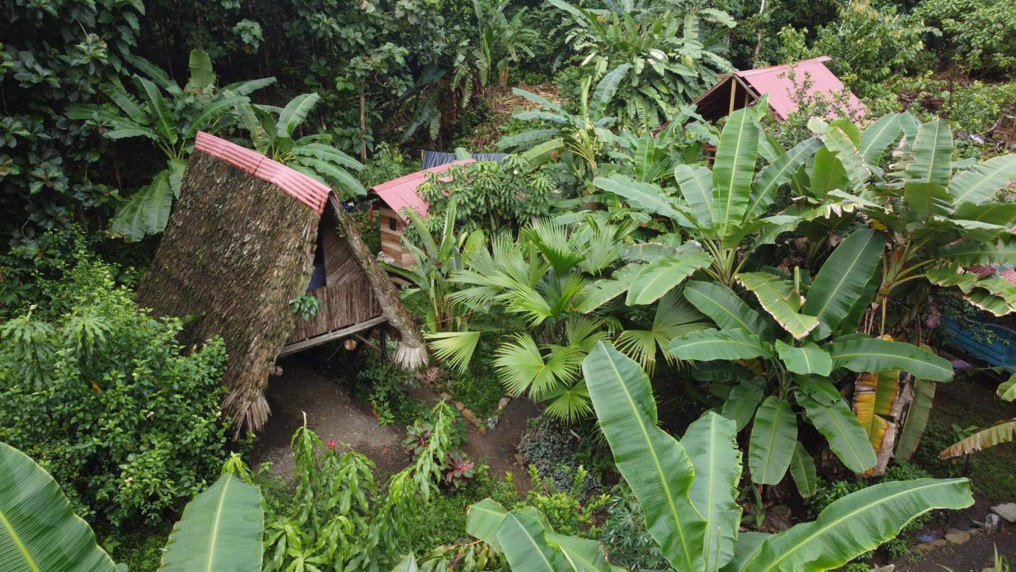 La Aldea Del Primitivo Hotel Nuqui Ngoại thất bức ảnh