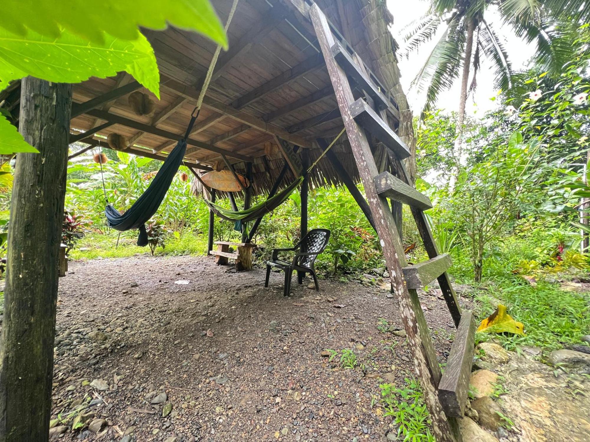 La Aldea Del Primitivo Hotel Nuqui Ngoại thất bức ảnh