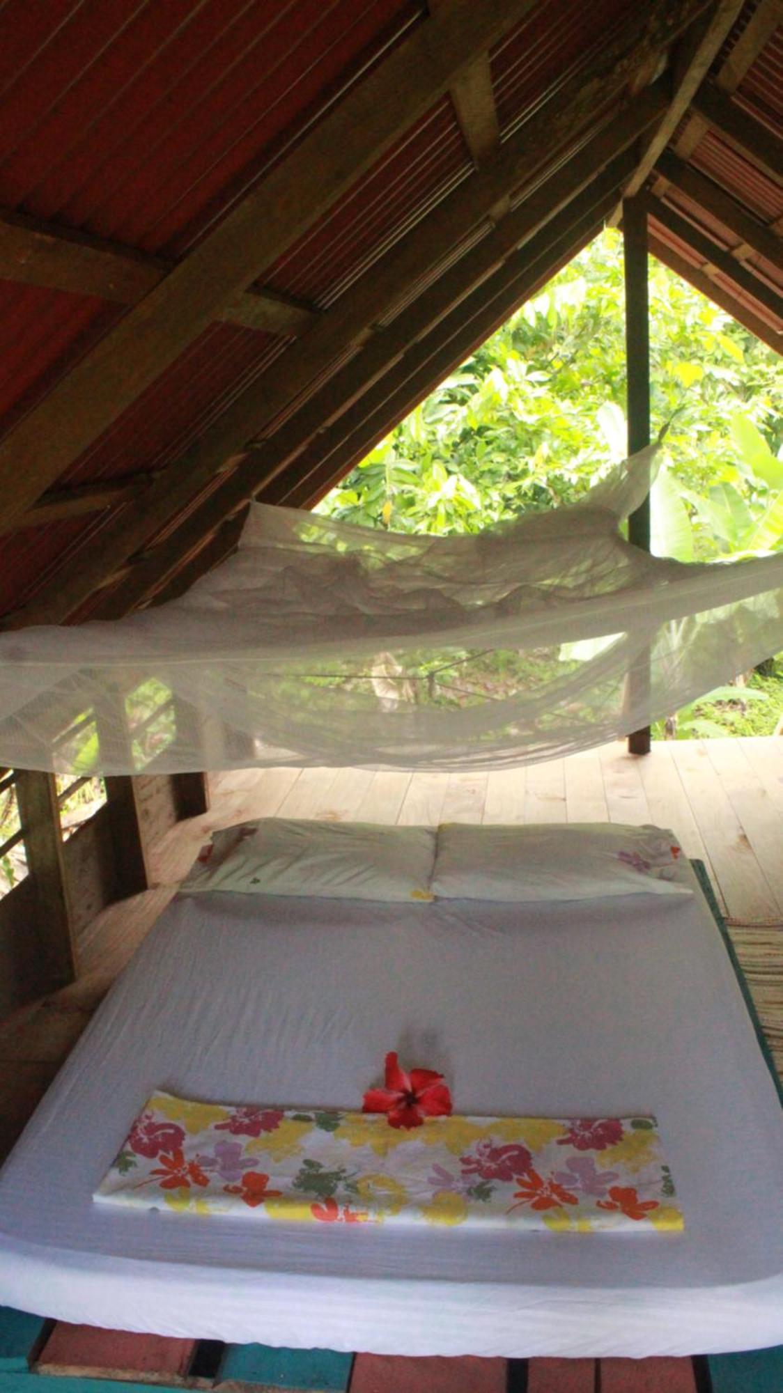 La Aldea Del Primitivo Hotel Nuqui Ngoại thất bức ảnh