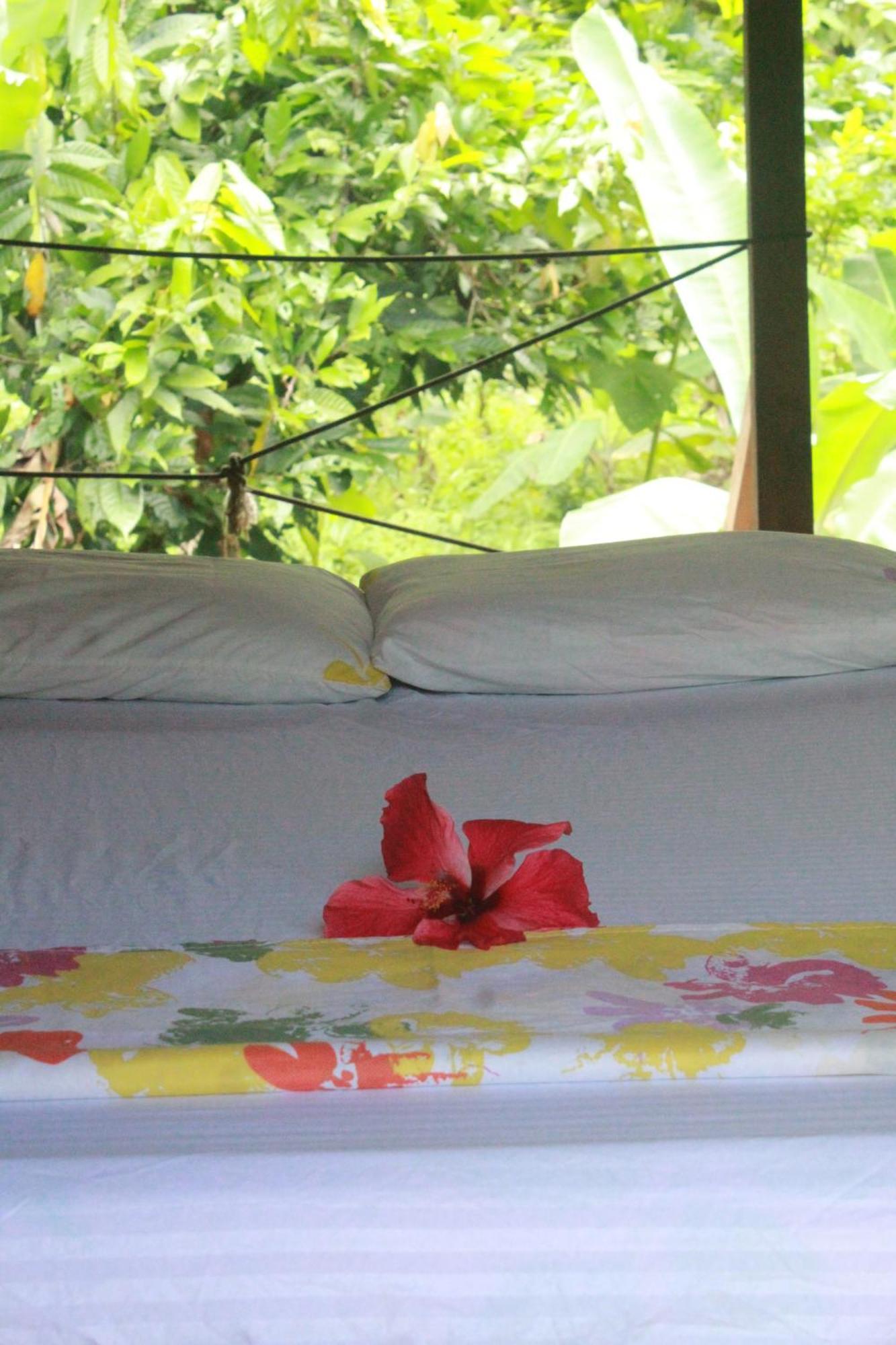 La Aldea Del Primitivo Hotel Nuqui Ngoại thất bức ảnh