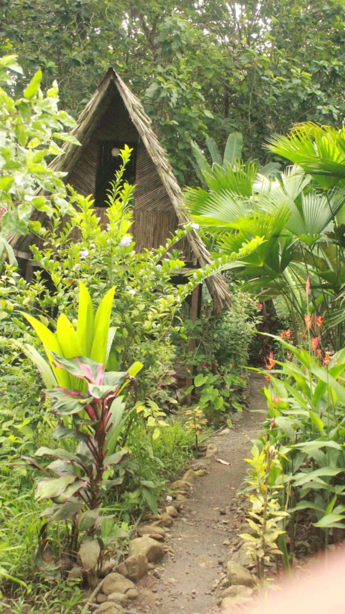 La Aldea Del Primitivo Hotel Nuqui Ngoại thất bức ảnh