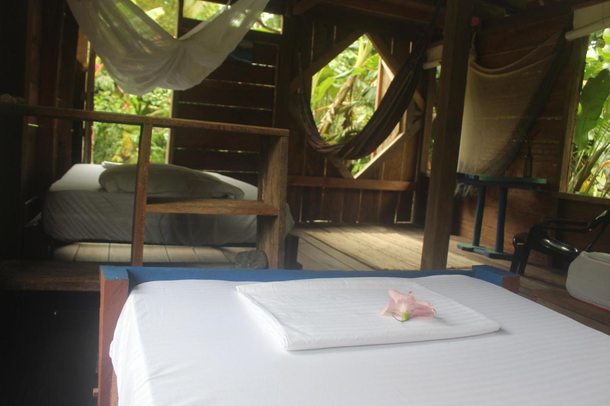 La Aldea Del Primitivo Hotel Nuqui Ngoại thất bức ảnh