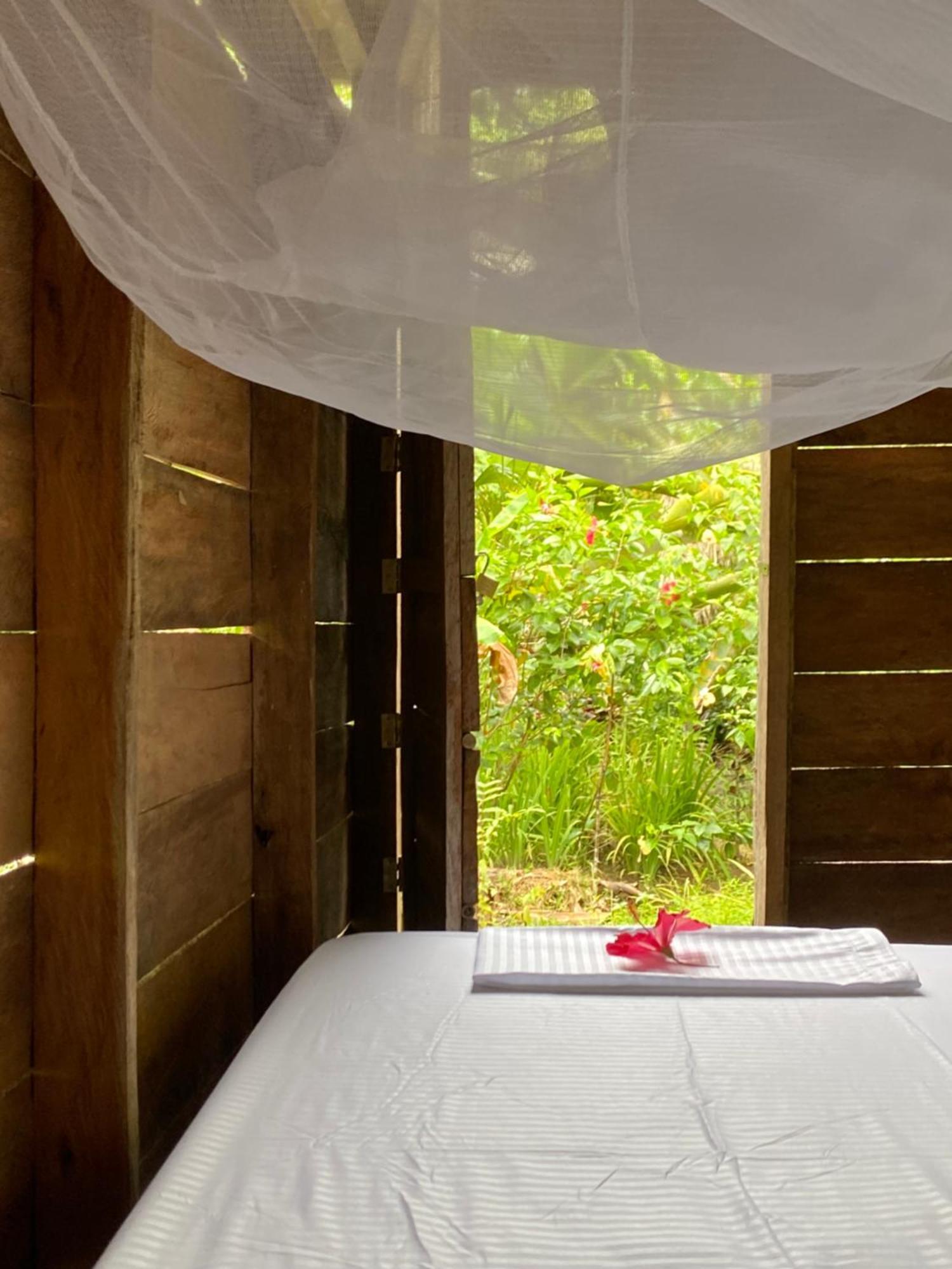 La Aldea Del Primitivo Hotel Nuqui Ngoại thất bức ảnh