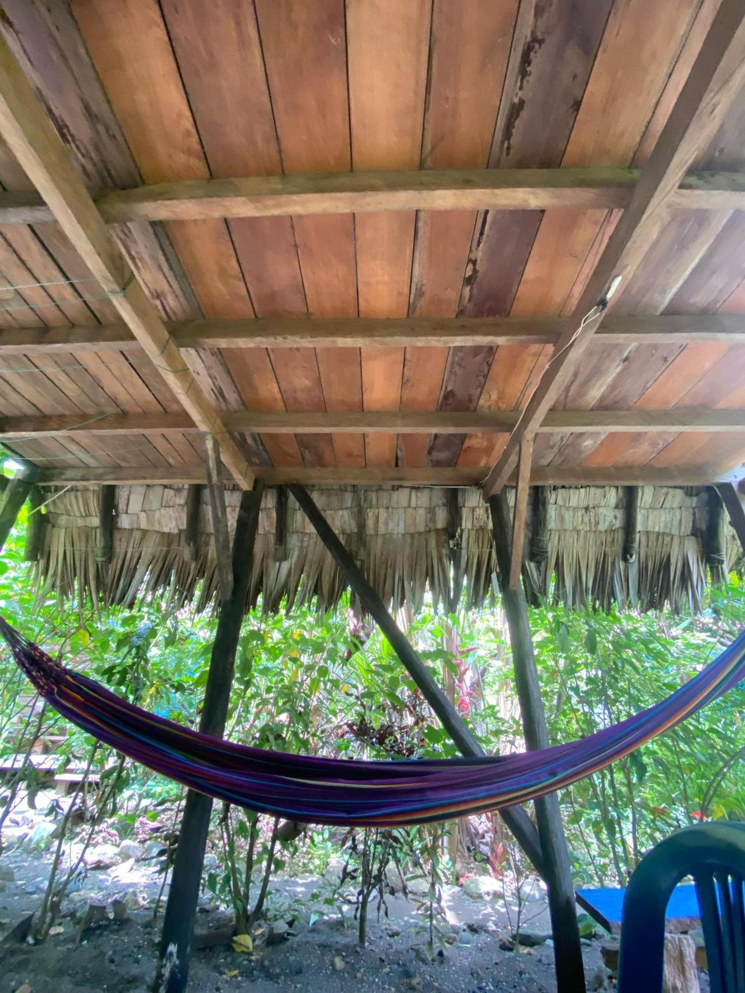 La Aldea Del Primitivo Hotel Nuqui Ngoại thất bức ảnh